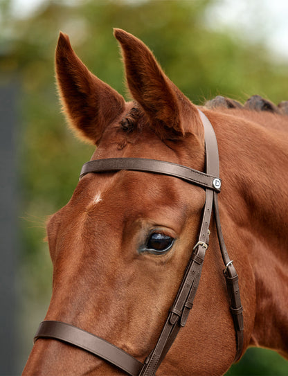 Dublin Flat Cavesson Bridle