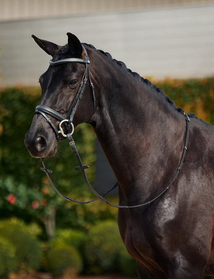 Dublin Padded Comfort Crown Crystal Flash Bridle