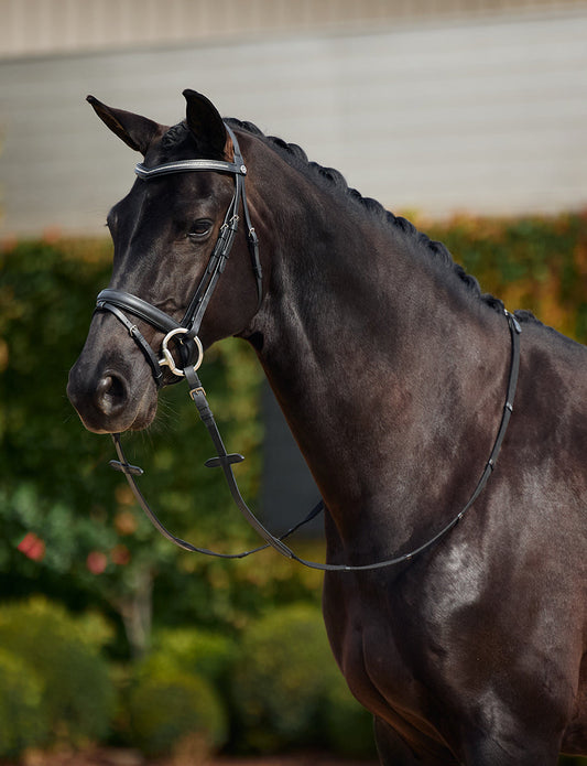 Dublin Padded Comfort Crown Crystal Flash Bridle
