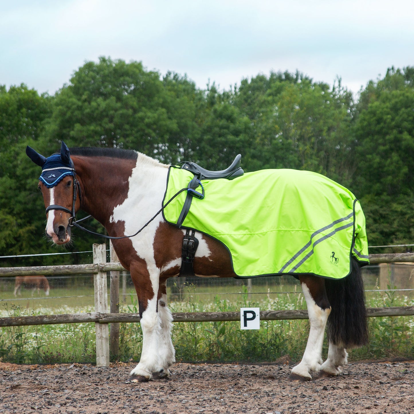 NEW GALLOP TROJAN Retro Reflective Waterproof Exercise Sheet