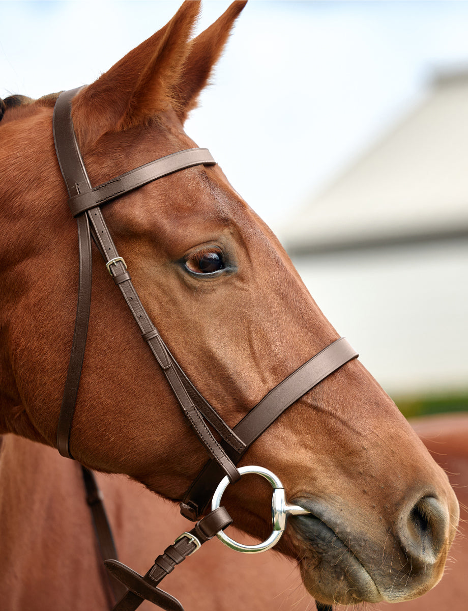 Dublin Flat Cavesson Bridle