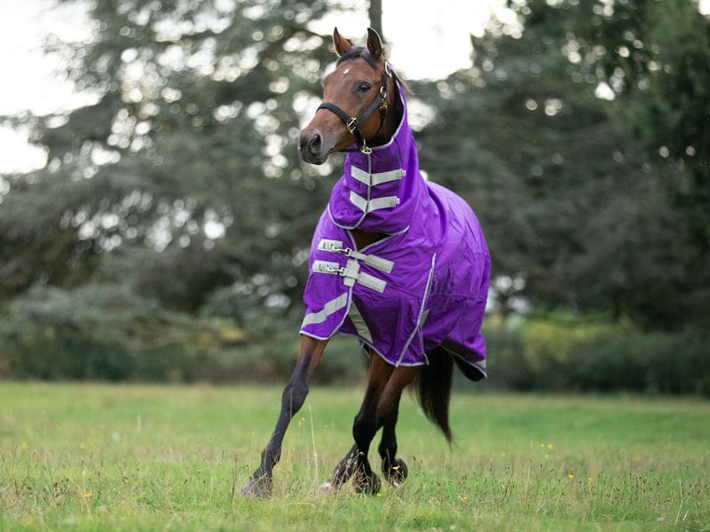 Swish 100g FIXED Neck Turnout Rug - Purple