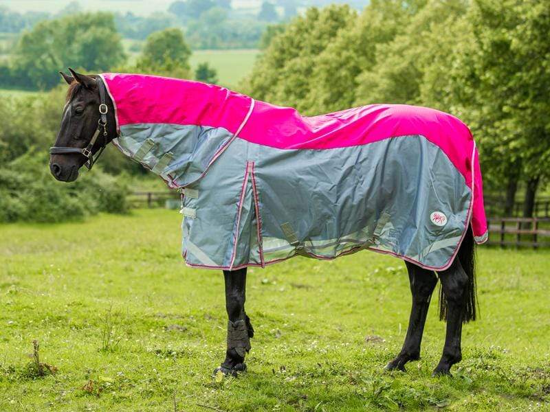 Swish Fly Turnout Combination Rug - Pink