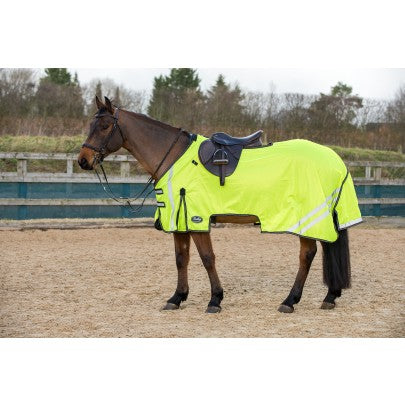 Gallop Ride-on Fly Mesh Rug & Neck Set