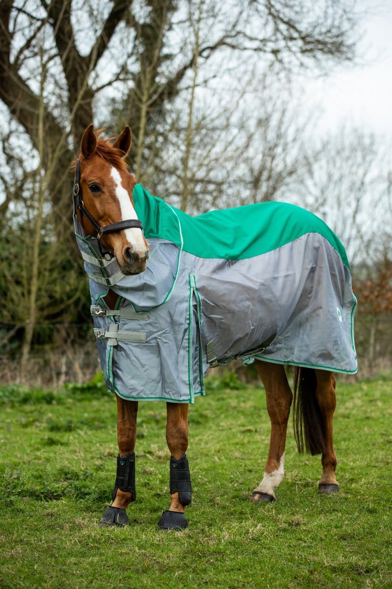 Swish Fly Turnout Combination Rug (NYLON) - Green