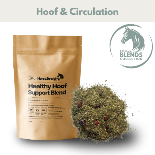 Healthy Hoof Support Blend