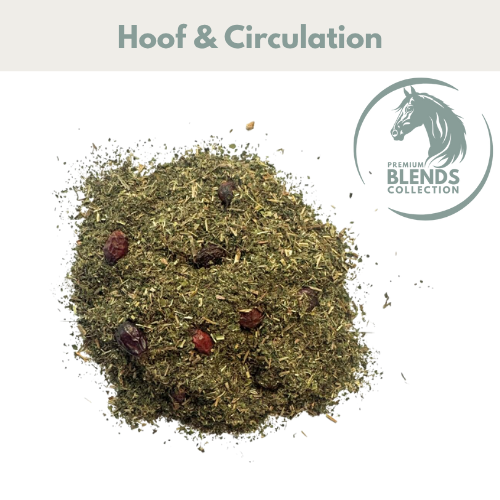 Healthy Hoof Support Blend