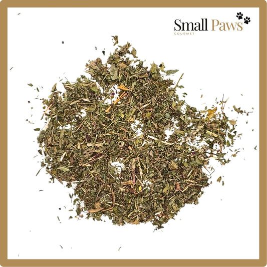 Small Paws Herb Salad Medley