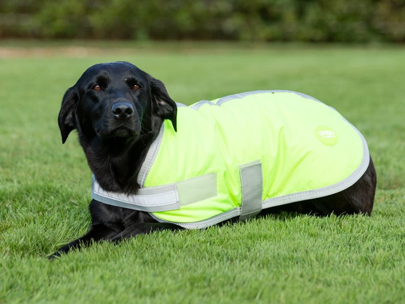 Swish Waterproof Dog Coat - High Viz Yellow