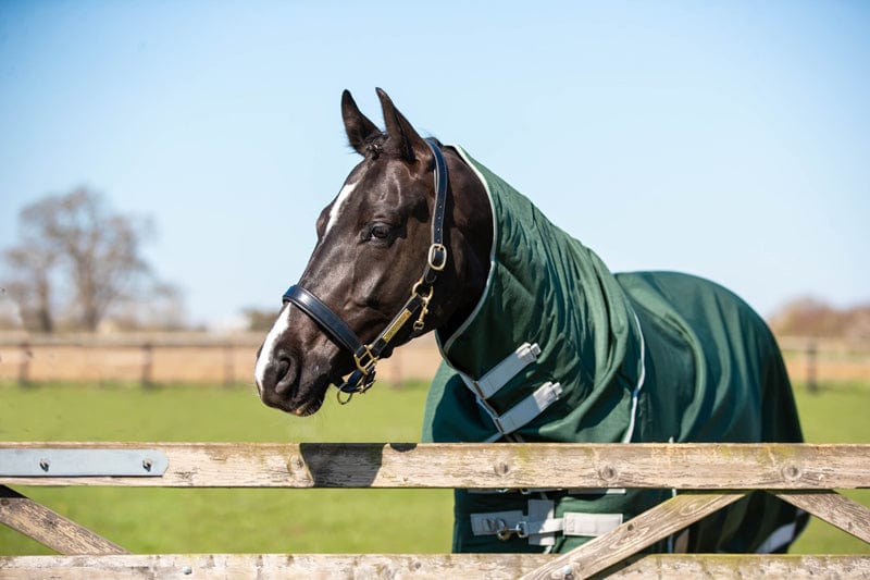 Swish 100g Detachable Neck Turnout Rug - Hunter Green