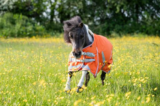 Swish 50g Turnout Rug - Orange