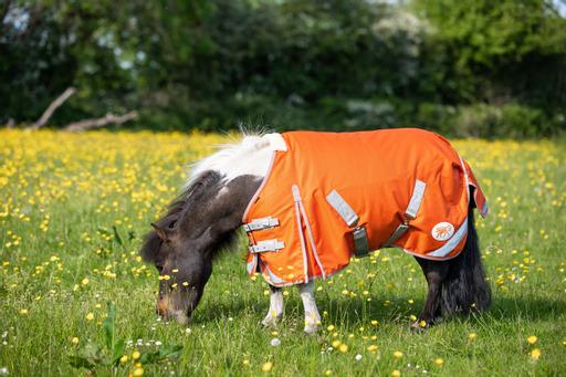 Swish MINI 0g Turnout Rug - Orange