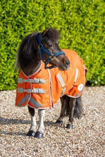 Swish MINI 0g Turnout Rug - Orange