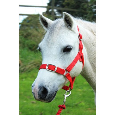Gallop Heacollar and Leadrope Set- Red