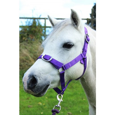 Gallop Heacollar and Leadrope Set- Purple