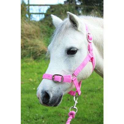 Gallop Heacollar and Leadrope Set- Pink