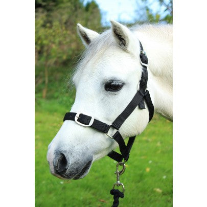 Gallop Heacollar and Leadrope Set- Black