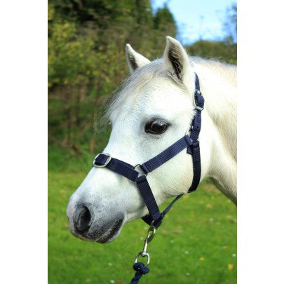 Gallop Heacollar and Leadrope Set- Navy