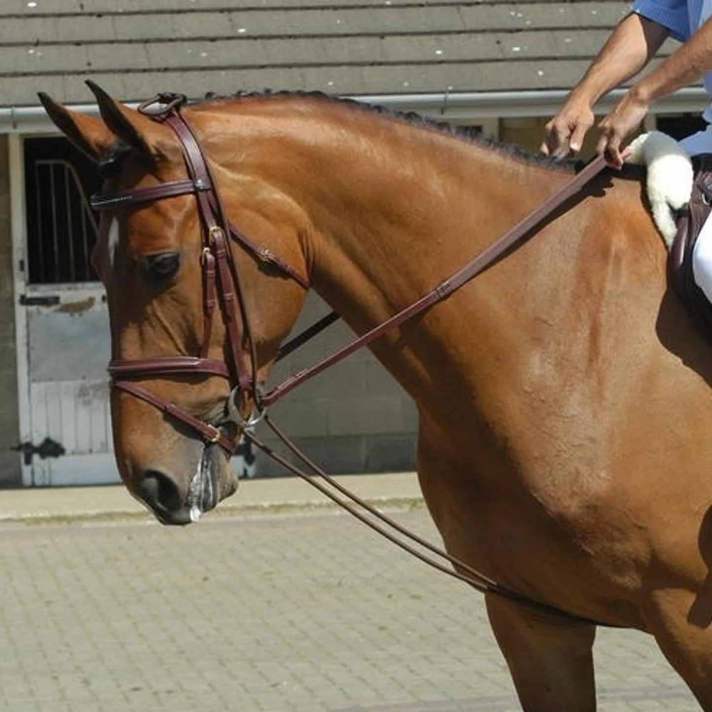 John Whitaker Fully Elasticated Training Rein- Black/ Brown