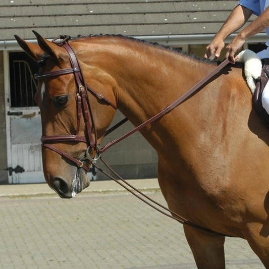John Whitaker Fully Elasticated Training Rein- Black/ Brown