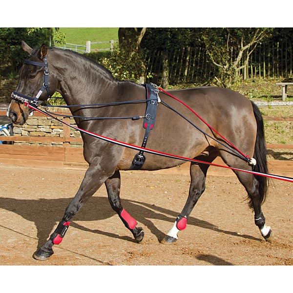 John Whitaker Training System & Roller Set