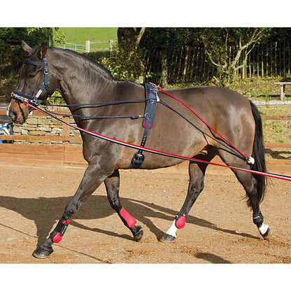 John Whitaker Training System & Roller Set