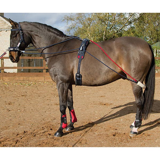 John Whitaker Training System & Roller Set
