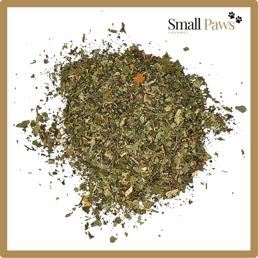 Small Paws Leaf Salad Medley