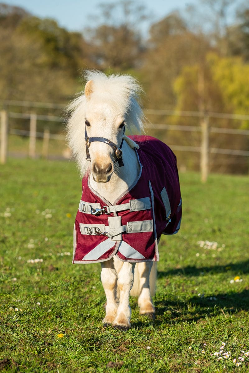 Swish MINI 0g Turnout Rug - Burgundy