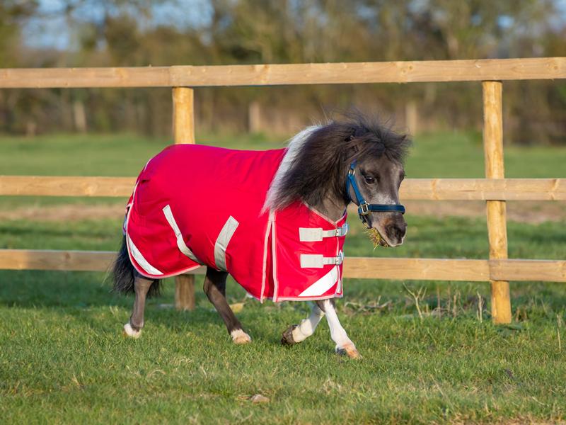 Swish MINI 200g Turnout Rug - Red