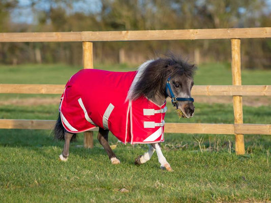 Swish MINI 200g Turnout Rug - Red