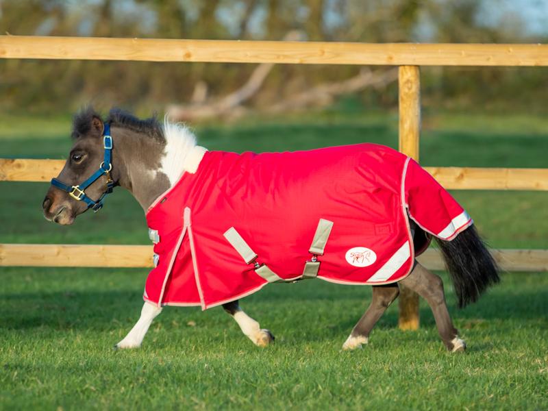 Swish MINI 200g Turnout Rug - Red