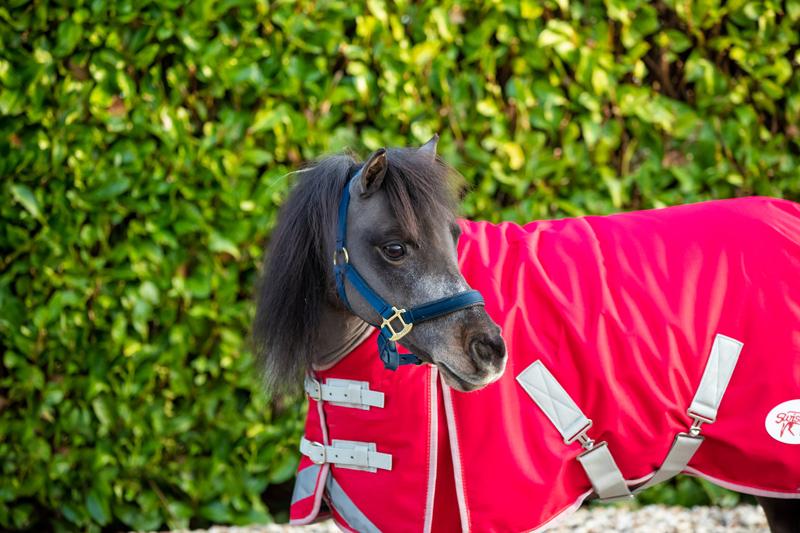 Swish MINI 200g Turnout Rug - Red