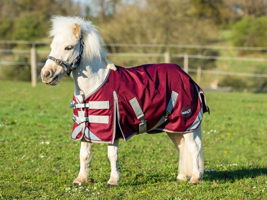 Swish MINI 0g Turnout Rug - Burgundy