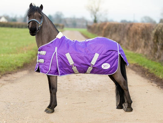 Swish Mini 100g Stable Rug - Purple