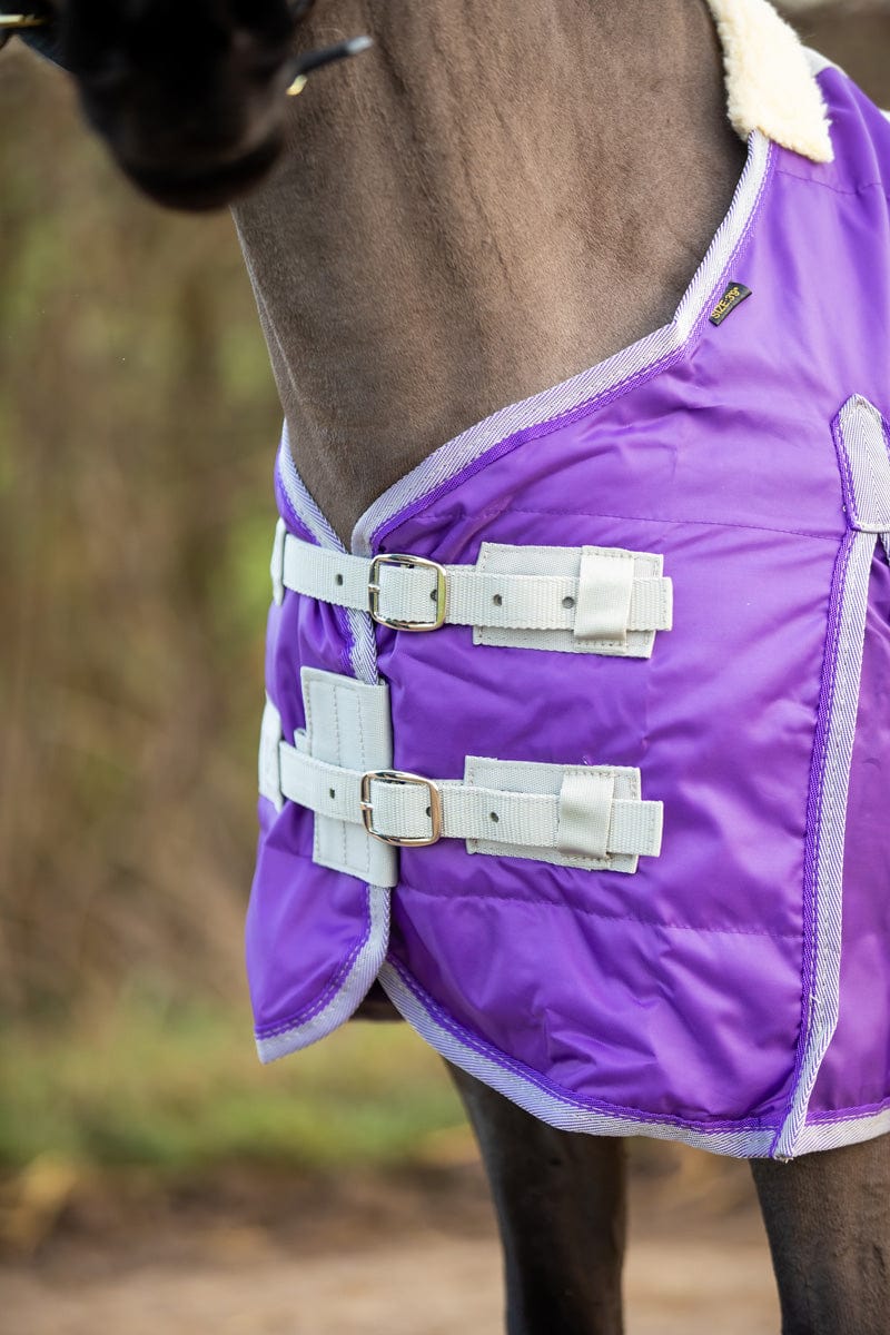 Swish Mini 100g Stable Rug - Purple