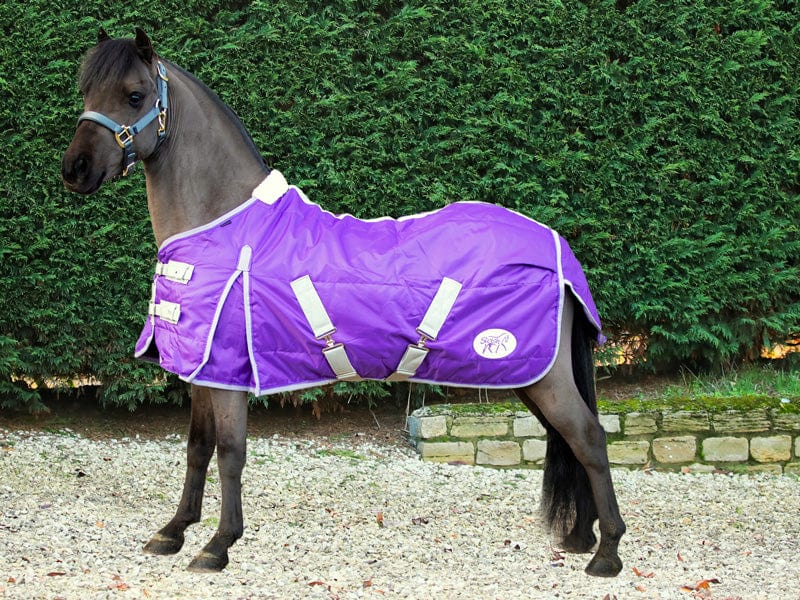 Swish Mini 100g Stable Rug - Purple