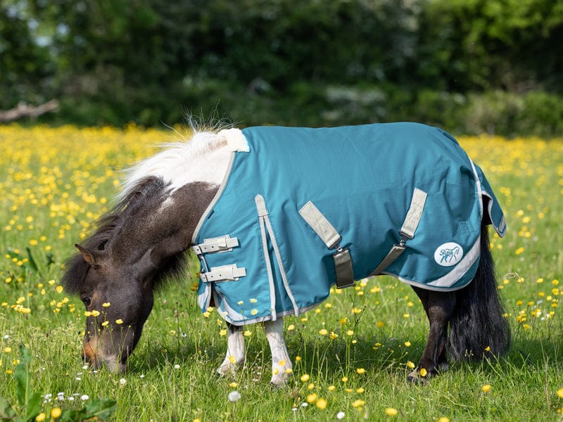 Swish MINI 100g Turnout Rug - Turquoise
