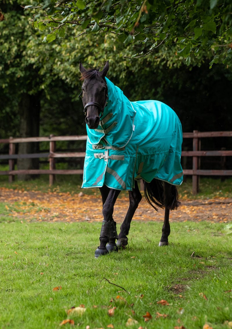 Swish 100g Detachable Neck Turnout Rug - Peppermint