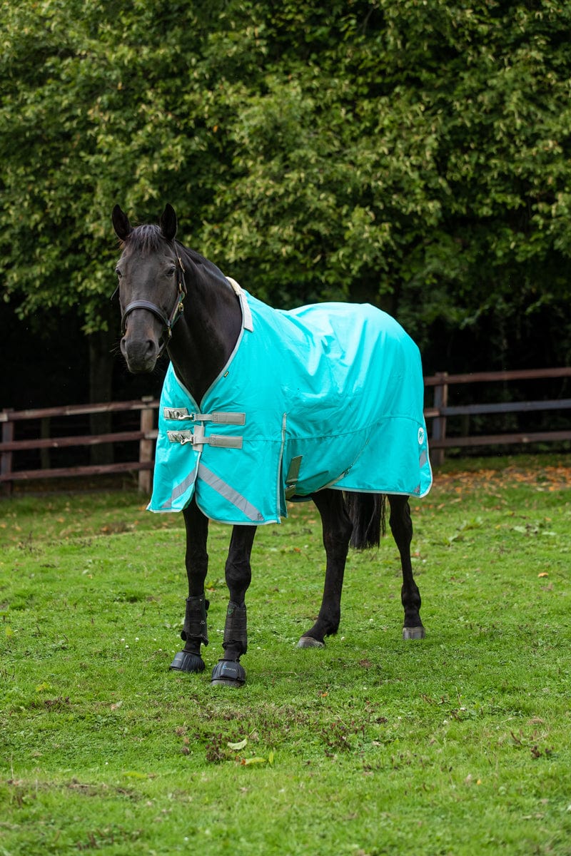Swish 100g Detachable Neck Turnout Rug - Peppermint