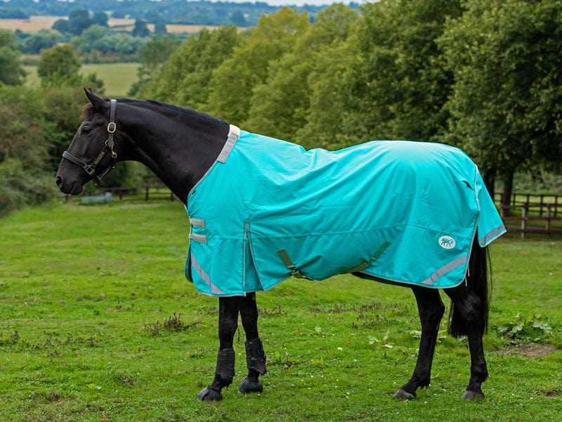Swish 100g Detachable Neck Turnout Rug - Peppermint