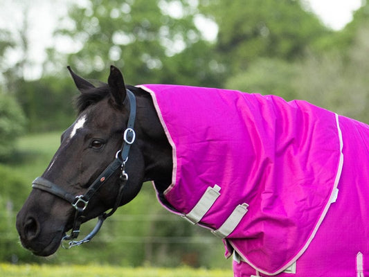 Swish 100g Mulberry Turnout Rug Neck Cover