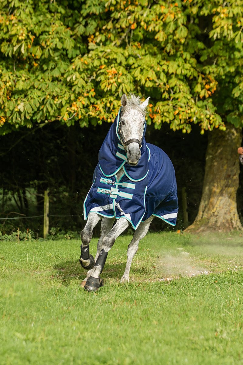 Swish 450g Ultimate Heavyweight Turnout Rug With Detachable Neck - Navy
