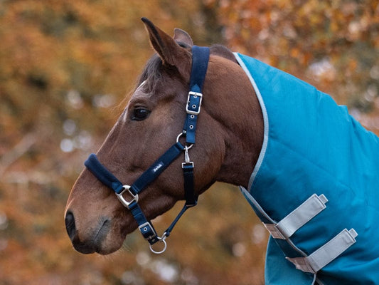 Swish Fleece Padded Head Collar - Navy