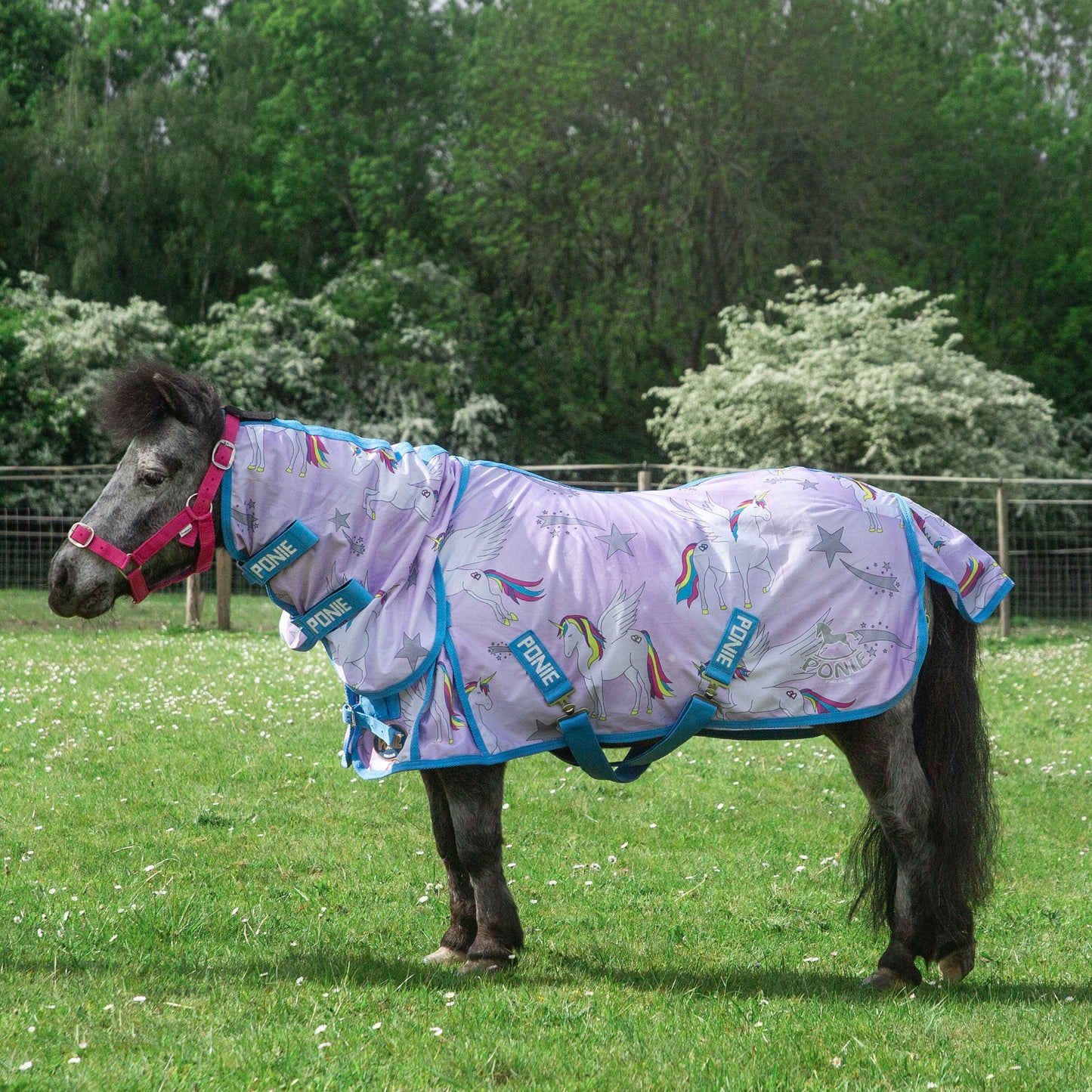 PONIE LIMITED EDITION  'Pegacorn'  Combo Fly Rug