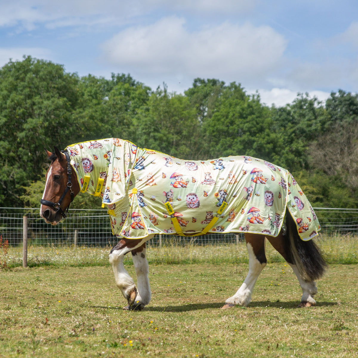 TROJAN LIMITED EDITION  'Country Cuties' Combo Fly Rug