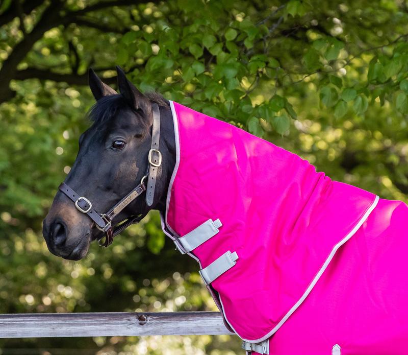 Swish 50g Pink Turnout Rug Neck Cover