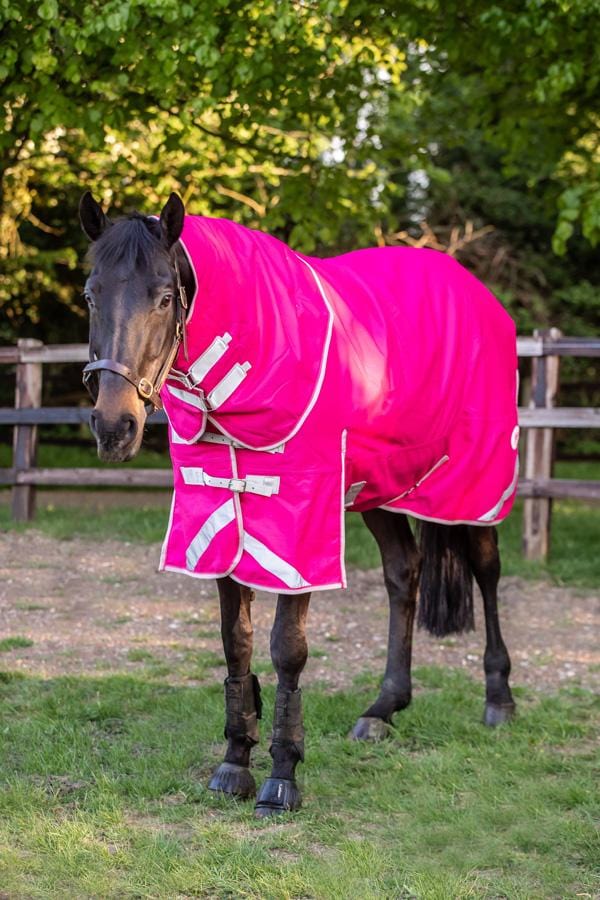 Swish 100g Detachable Neck Turnout Rug - Pink