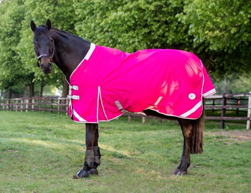Swish 200g Detachable Neck Turnout Rug - Pink