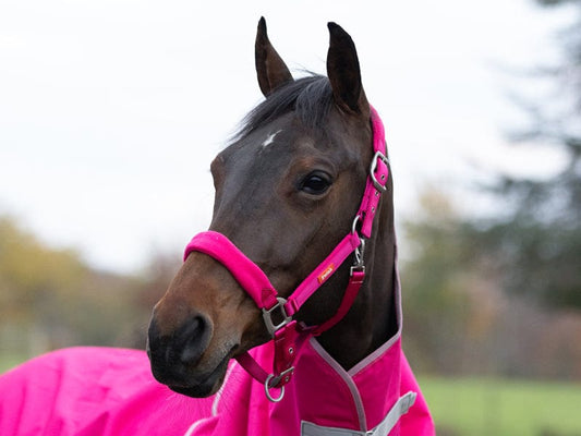 Swish Fleece Padded Head Collar - Pink